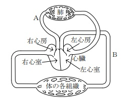 問23の図1